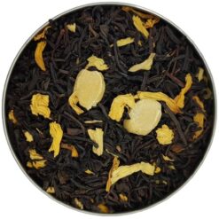 Automne à Central Park