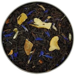 Hiver à Saint Petersbourg