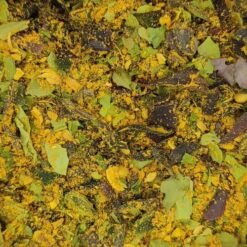 Alternative view of Curry Breton 50g